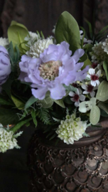 Scabiosa tak zijden | paars