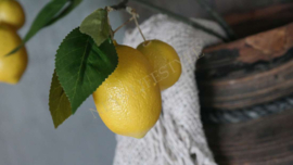 Lemon tak | kunst S