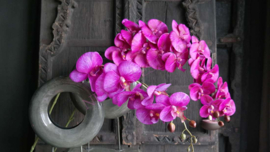 Orchidee kunst tak paars l 106 cm
