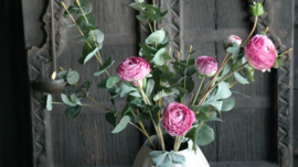 Ranonkel bosje kunst | roze