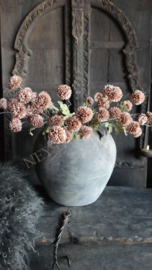 Dahlia bloem kunst | cappuccino