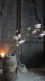 Magnolia kunst tak roze | in knop L