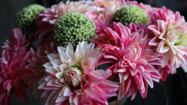 Boeket zijden kant en klaar | Dahlia
