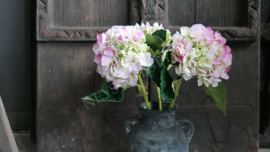 Hortensia bloem zijden | roze/groen