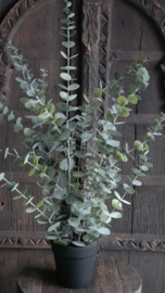Eucalyptus boom kunst | 76 cm