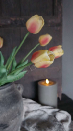 Tulp geel /fuchia | 1 bloem