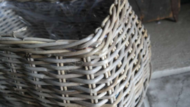 Plantenmand rotan | M