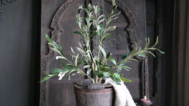 Olijfboom in pot | kunst 60 cm