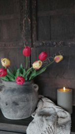 Tulp fuchia | 1 bloem