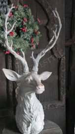 Reindeer head | grey