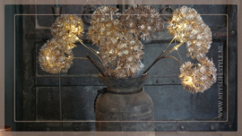 Heracleum tak LED brons | 1 takkig