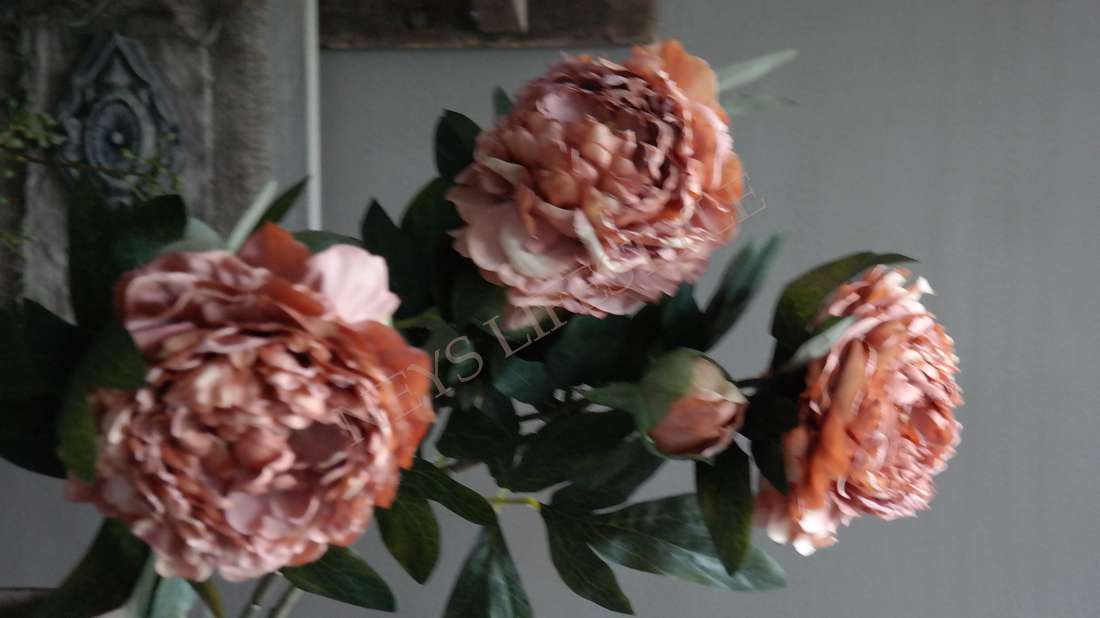 Pioenroos kunst bloem | coffee