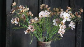 Cosmea zijden bloem | roze 60 cm