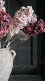 Pluim hortensia dried zijden bloem | zacht roze