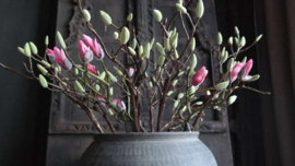 Magnolia kunst tak groen | S