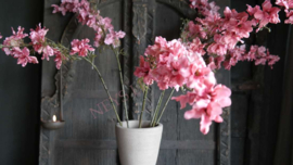 Delphinium zijden bloem | roze