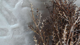 Bosje takken spring kunst | 42 cm