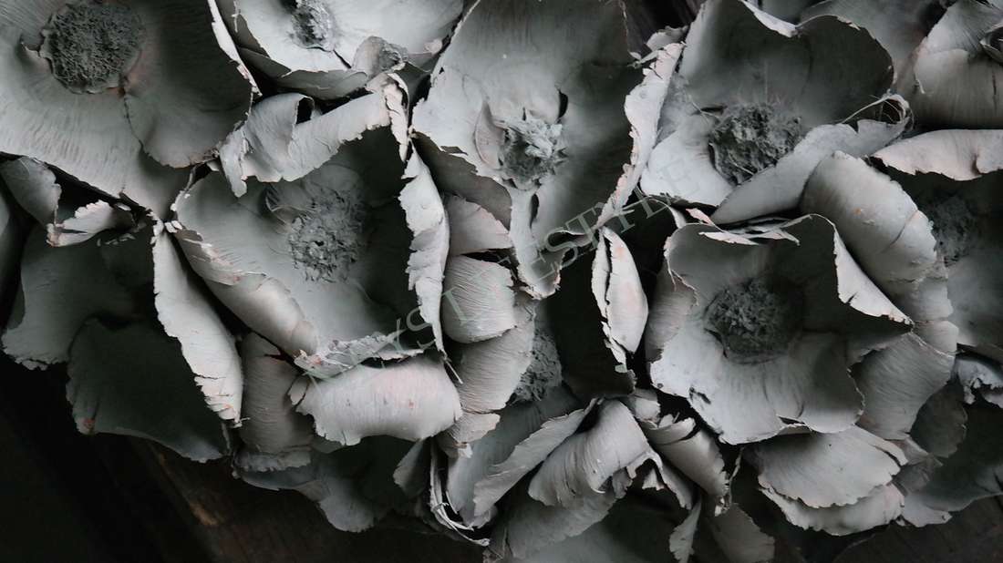 Krans Palm Cup | Greywash | 80 cm
