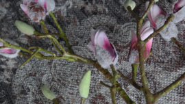 Magnolia kunst tak roze | in knop L