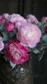 Ranonkel bloem zijden | roze