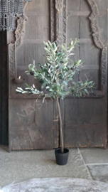 Olijfboom in pot | kunst 90 cm