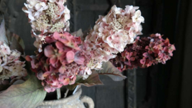 Pluim hortensia dried zijden bloem | zacht roze