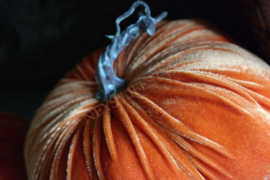 Pumpkin velvet | orange S