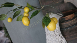 Lemon tak | kunst S