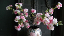 Kersen Bloesem tak zijden | roze/groen