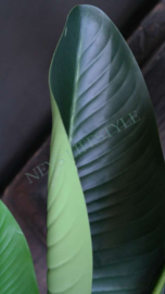 Plant Strelitzia silk | 120 cm