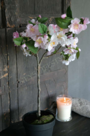 Plant zijden | kersenbloesem roze
