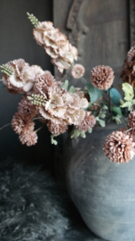 Dahlia bloem kunst | cappuccino