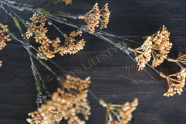 Rice flower | oranje 69 cm