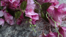 Guirlande Bougainvillea zijden | paars