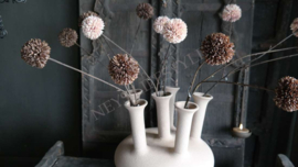 Pom pom tak kunst | champagne