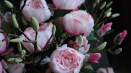 Magnolia kunst tak groen | S