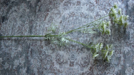 Wildwortel /fluitekruid kunst bloem | wit