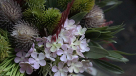 Droogboeket viburnum kunst | paars
