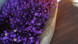 Gipskuid krans dried paars | 38 cm