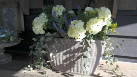 Ceropegia hangplant namaak | UV bestendig