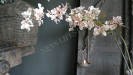 Delphinium zijden bloem | beige