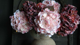 Hortensia zijden bloem | dried bordeaux