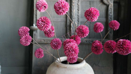 Pom pom tak kunst | paars