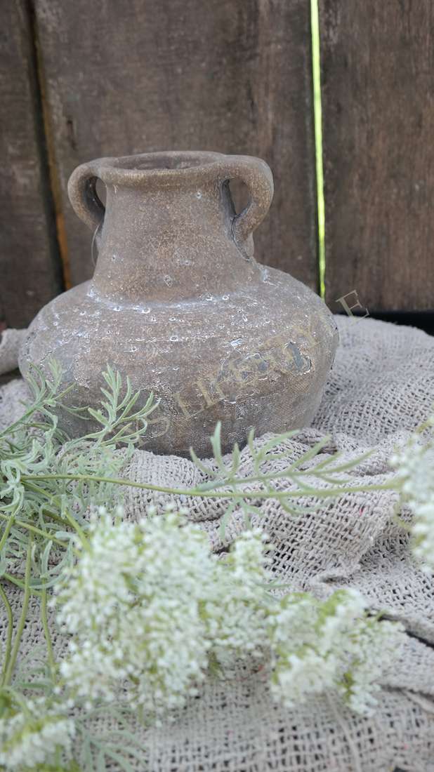 Vaas Suzo | Willem L