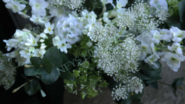 Delphinium kunst bloem | wit