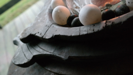 Zak met 24 plastic peewit eggs |  6 cm