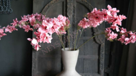 Delphinium zijden bloem | roze