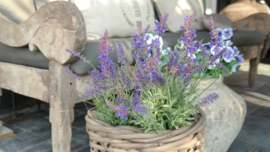 Lavendel plant in pot kunst | 44 cm