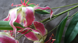 Gloriosa bloem kunst roze | 89 cm