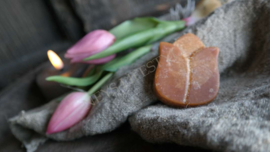 Geurbloem tulp | Amber